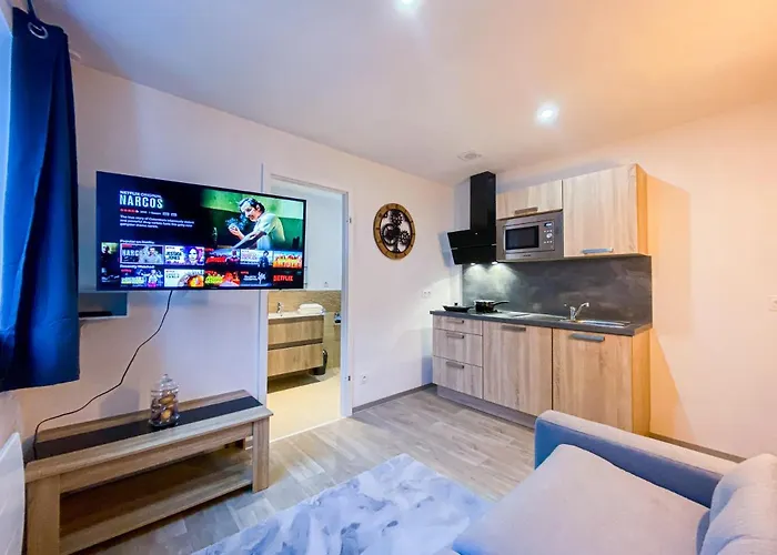 Appartement Le Majestudio